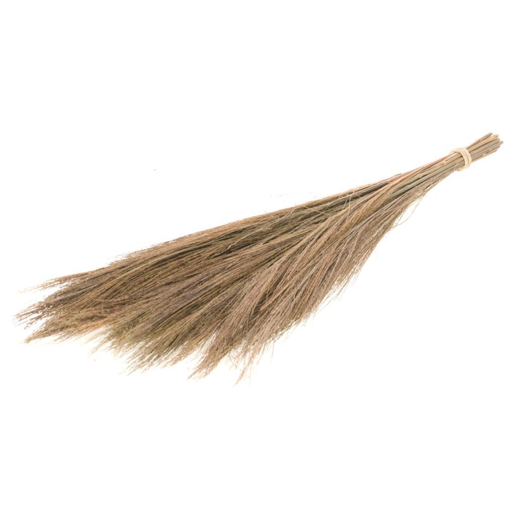 Pre Order Broom grass natural, box x 36