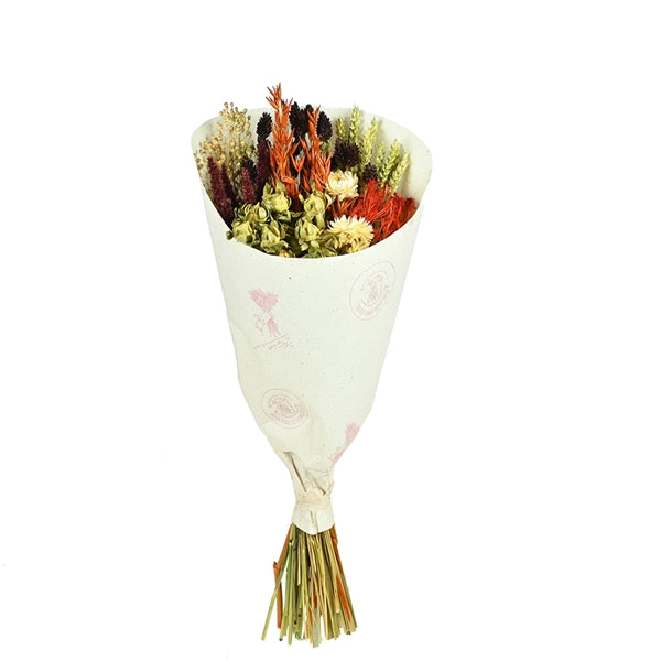 Pre Order Bouquet Dining Medium Daphne mixed , box x 12