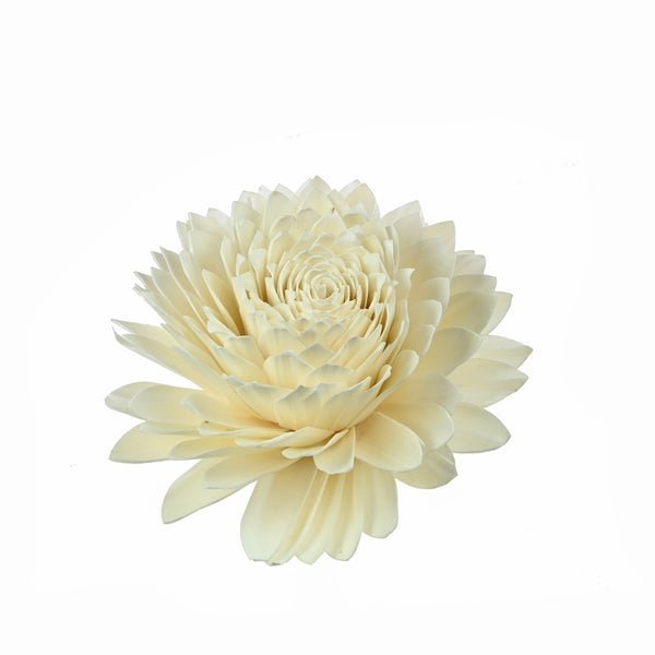 Pre Order Sola flower Water Lily 25cm natural natural, box x 18