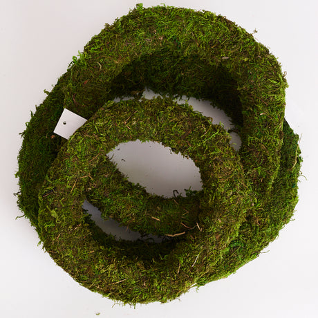 Moss Wreath Base, Dried, Green, Diameter 25cm