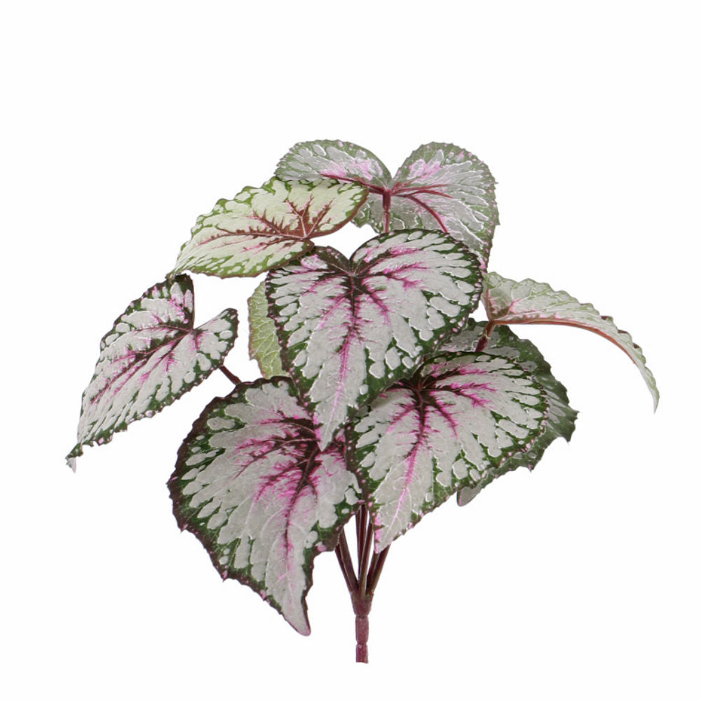Begonia Rex, Leaf Begonia, Artificial, Red/Green, D25cm