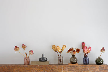 Banksia Dryandra, Natural Orange, Bunch x 5 Stems