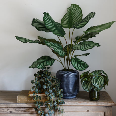 Calathea orbifolia, Artificial, Natural Touch Leaves 76cm
