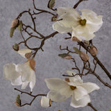 Blossom - Magnolia Branch, Cream, 107cm