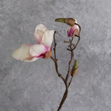 Blossom - Magnolia Branch, Pink / White, 107cm