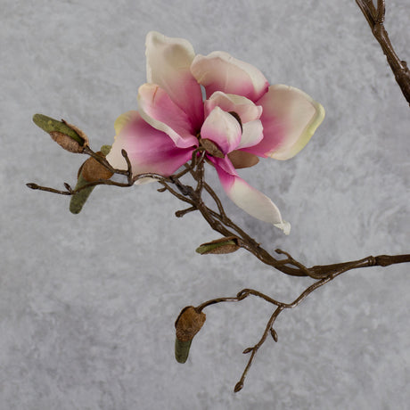 Blossom - Magnolia Branch, Pink / White, 107cm