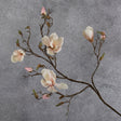 Blossom - Magnolia Branch, White / Pink, 107cm