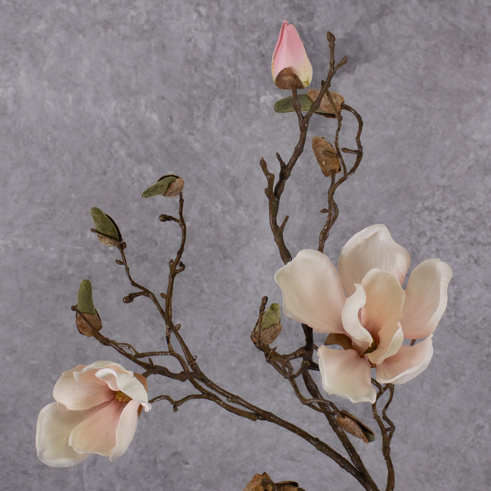 Blossom - Magnolia Branch, White / Pink, 107cm