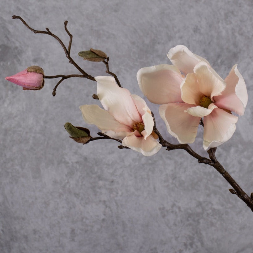 Blossom - Magnolia Stem, White/Pink, 48cm