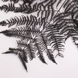 Fern, Falcioni, Preserved, Green, Bunch x 5 Stems