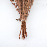 Palak stick, natural brown