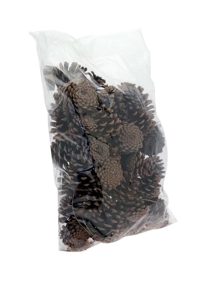 Pine Cones, Natural, 1kg