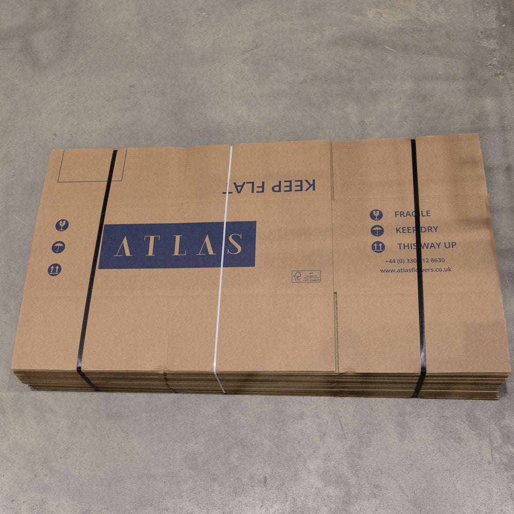 Flower Shipping Box, Atlas 78x38x25cm, Pack 20 – Atlas Flowers