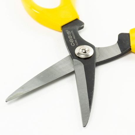 This image shows a pair of economy, carbon blade scissors