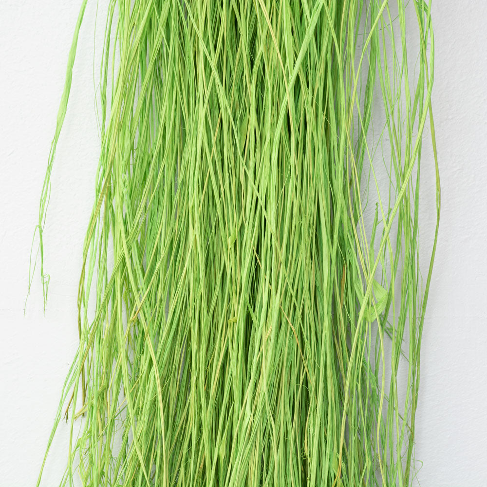 Long Raffia, Apple Green, 250g pack