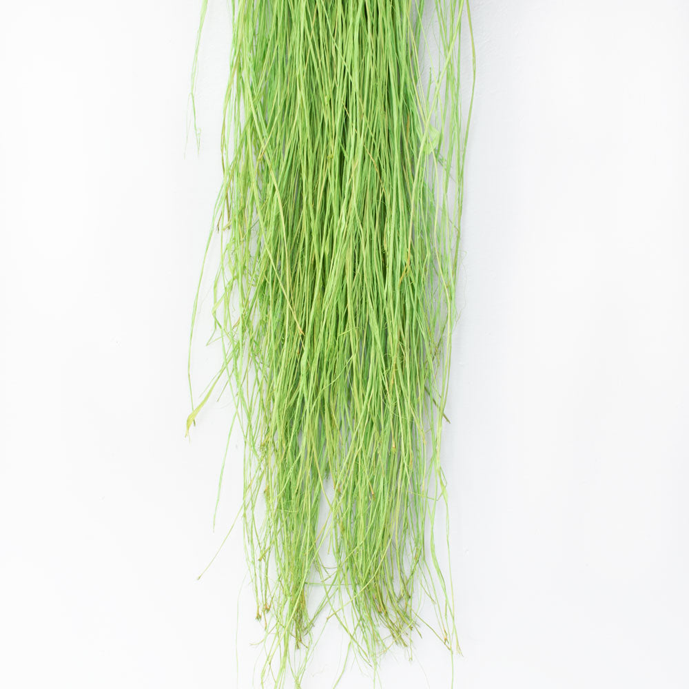 Long Raffia, Apple Green, 250g pack