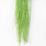 Long Raffia, Apple Green, 250g pack