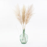 a light green glass bottle vase containing 3 fluffy pampas stems