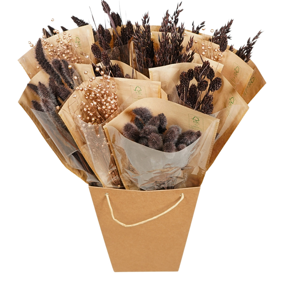 Pre-Order Dried Flowers Mono mix, chocolate, box x 12 bouquets