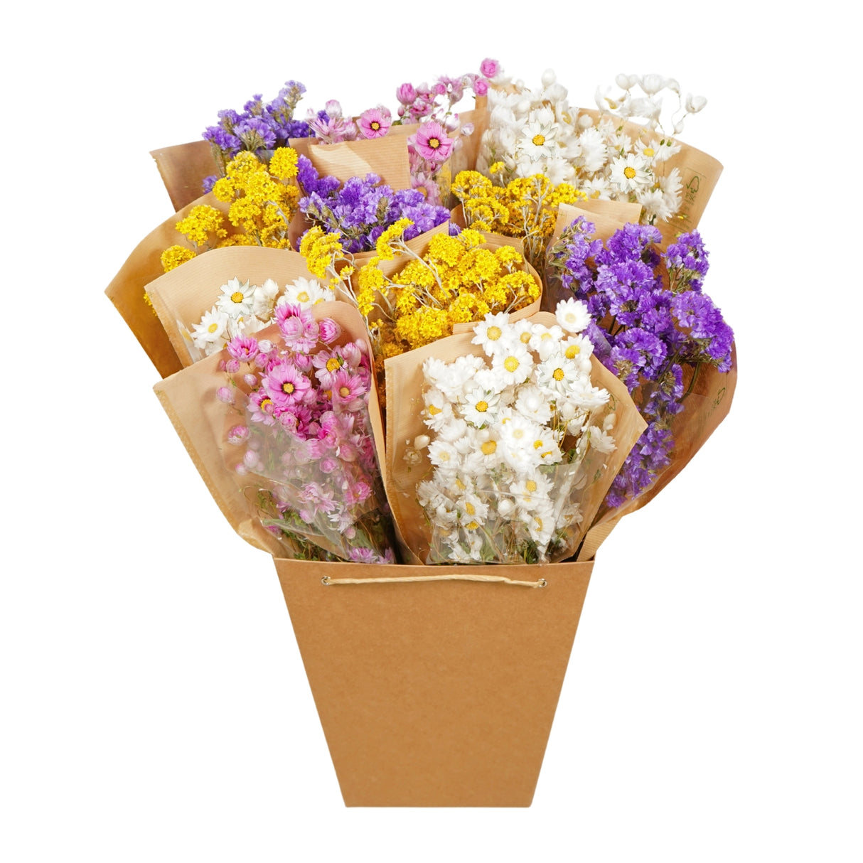Pre Order Dried Flowers Mono mix, dutch, box x 12 bouquets