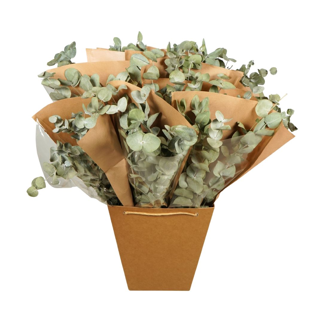 Pre Order Dried Flowers Mono mix, Eucalyptus, box x 12 bouquets