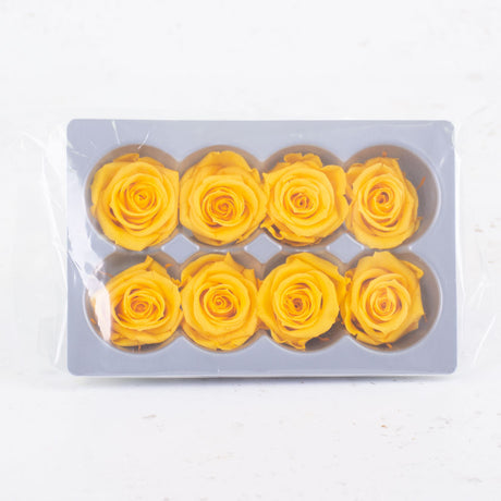 Rose Heads, Preserved, Yellow, 2nd quality x 8