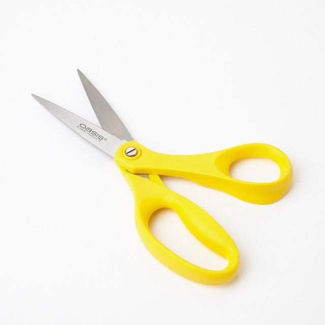 Scissors with Stainless Steel Blades - floristry or arts and crafts