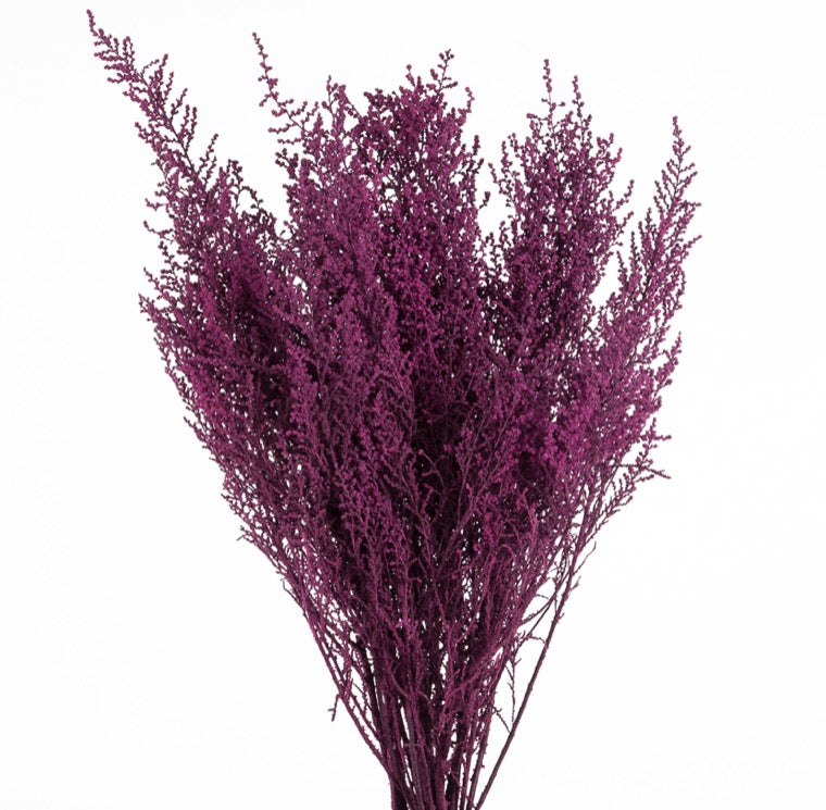 Stoebe, Preserved, Byzantium, Bunch