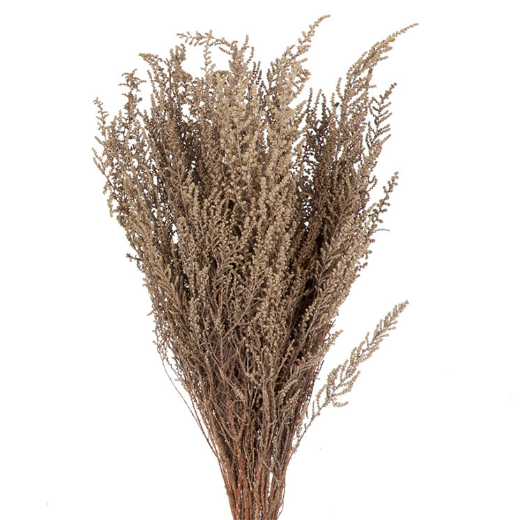 Stoebe, Preserved, Grey, Bunch