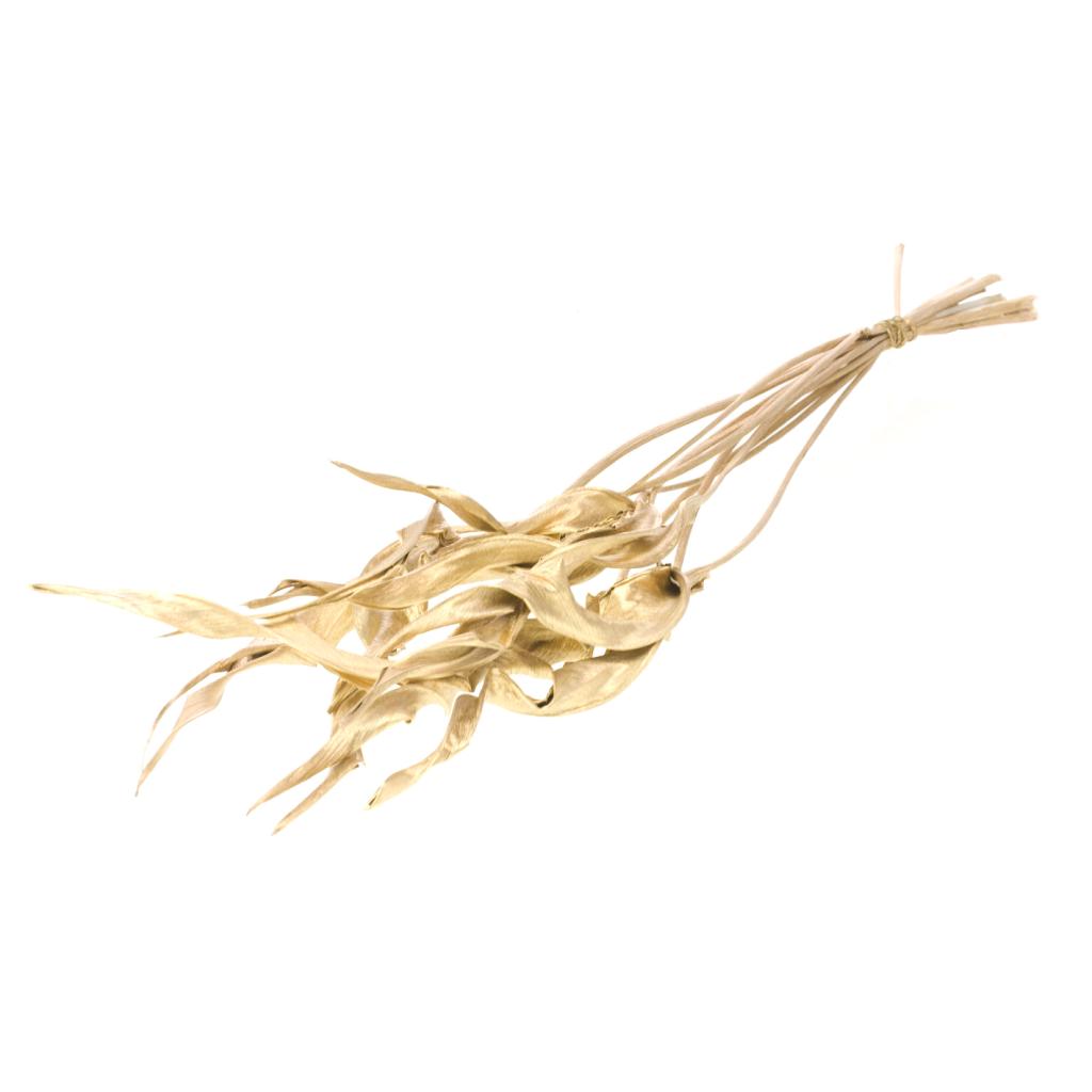 Strelitzia Leaves, Dried, Gold, Bunch x 10