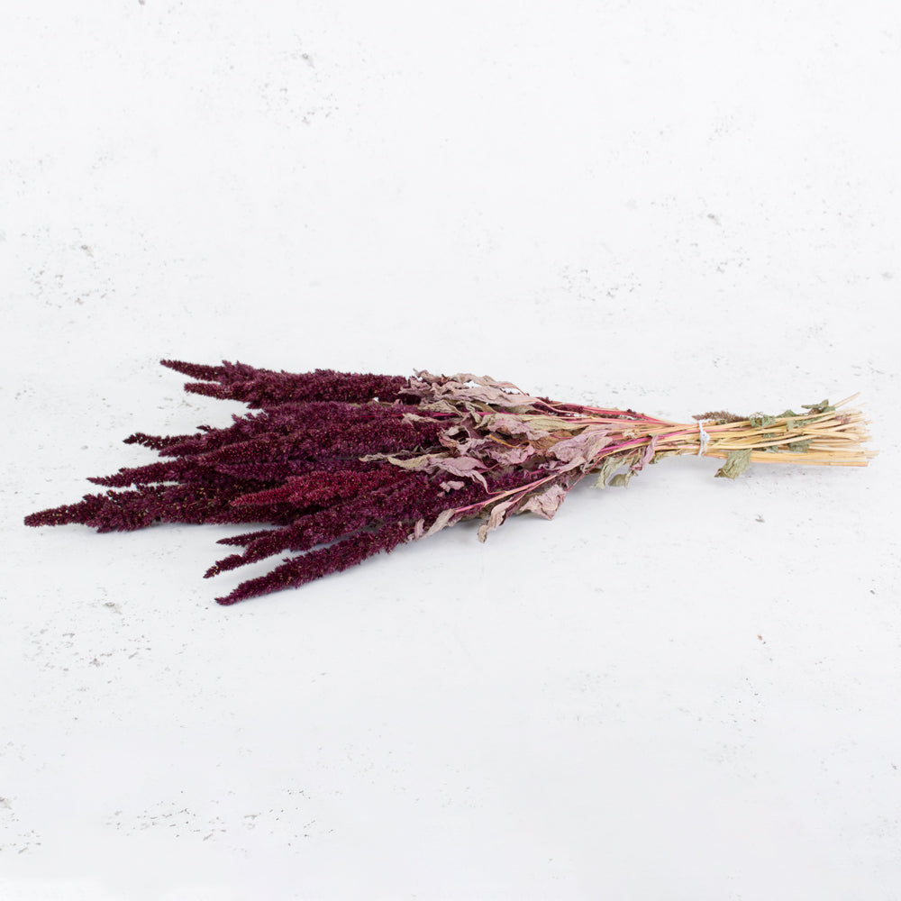 Amaranthus Flower, Dried, Natural Red