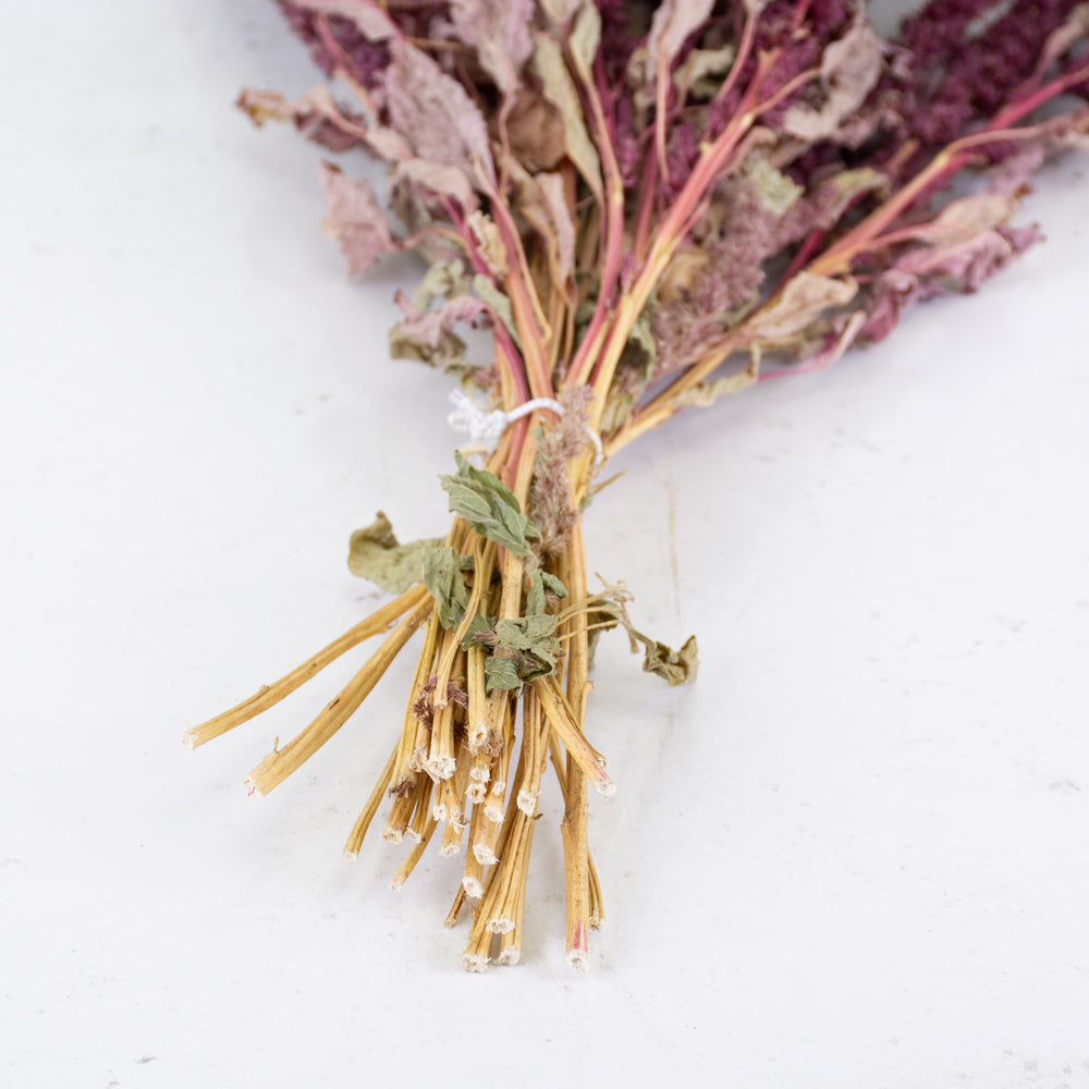 Amaranthus Flower, Dried, Natural Red