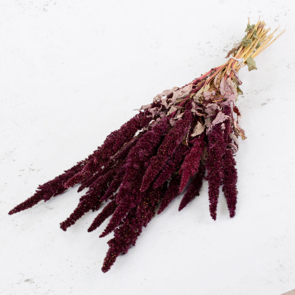 Amaranthus Flower, Dried, Natural Red
