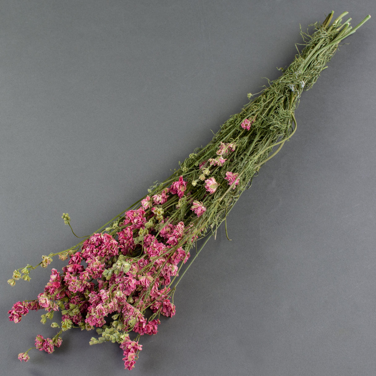 This image shows a bunch of dried, pink delphiniums, laid on a grey background