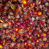 Helichrysum Heads, Natural Red, per 2kg box
