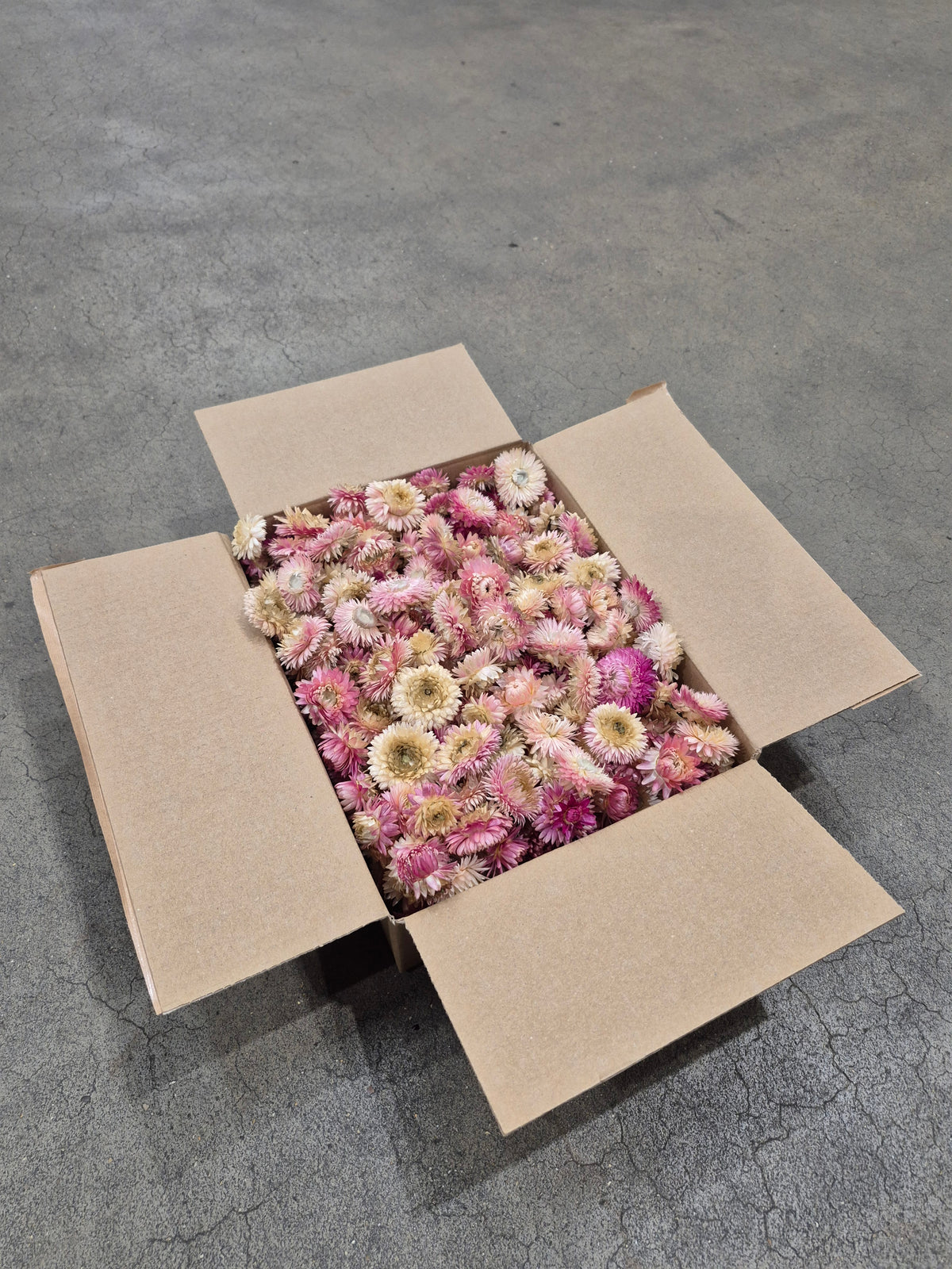 Helichrysum Heads, Dried, Natural Pink, per 200g