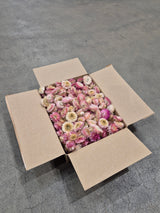 Helichrysum Heads, Dried, Natural Pink, per 200g