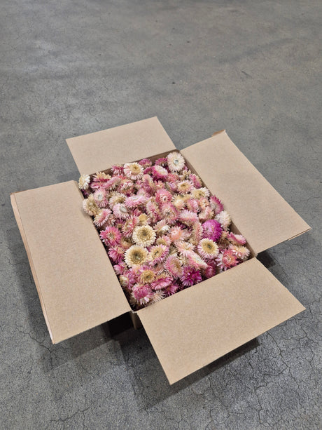 Helichrysum Heads, Dried, Natural Pink, per 200g