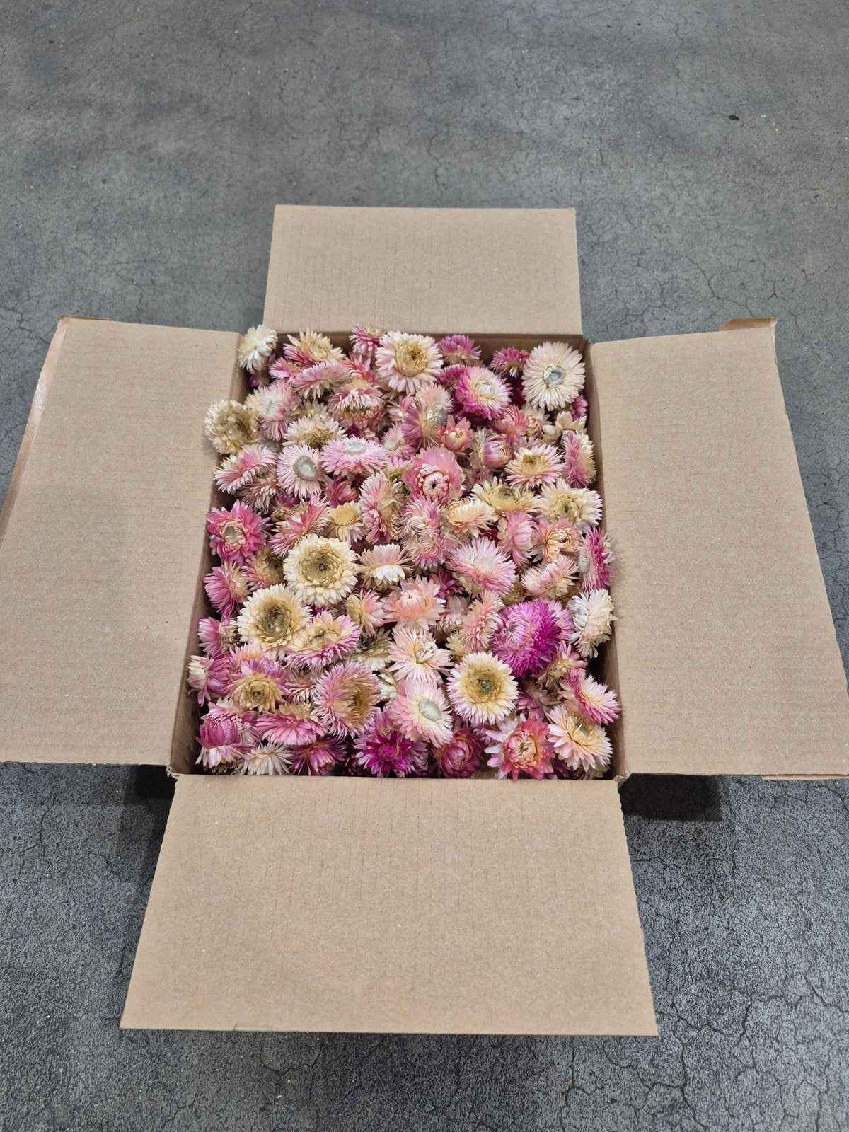 Helichrysum Heads, Dried, Natural Pink, per 200g
