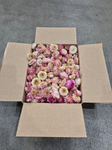Helichrysum Heads, Dried, Natural Pink, per 200g