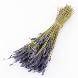 This image shows a bunch of naturally colloured lavender against a white background