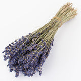 This image shows a bunch of naturally colloured lavender against a white background