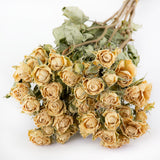 a bunch of dried white roses, which have an intensified, cream colour