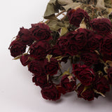 Roses, Spray, Dried, Natural Red, x 10 Stems