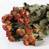 Dried Spray Roses Natural Orange Bunch