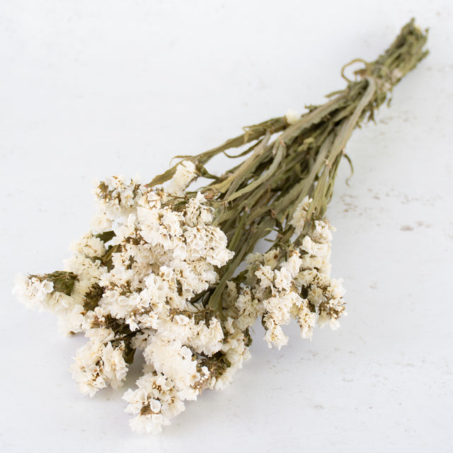 Statice Sinuata, Dried, Natural White