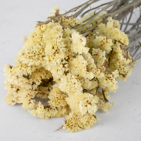 Statice sinuata, Dried, Natural Yellow