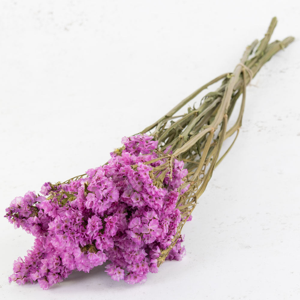 Statice sinuata, Natural Pink – Atlas Flowers
