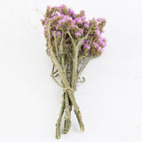 Statice sinuata, Natural Pink