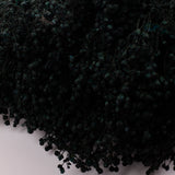 Broom bloom, Dried, Moss Green